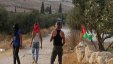 3 اصابات برصاص الاحتلال شمال بيت لحم