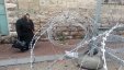 بالصور والفيديو .في شارع الشهداء جندي اسرائيلي لمسنة فلسطينية : ( روحي لفي من طريق تانية ) 