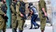 الاحتلال: اعتقلنا 12 فلسطيني وعثرنا على سلاح في الضفة