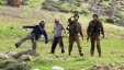 جنود ومستوطنون يهاجمون رعاة فلسطينيين في الاغوار
