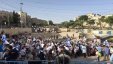 القدس: مستوطنون يؤدون رقصات استفزازية في باحة باب العامود