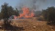 مستوطنون يحرقون مساحات من أراضي بورين