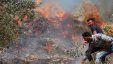 المستوطنون يشعلون عدة حرائق في حقول بيت فوريك