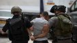 إصابات واعتقالات في تقوع جنوب شرق بيت لحم