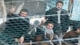 نقل الأسير المضرب محمود بلبول إلى عزل سجن عوفر