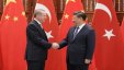 الصين وتركيا تتعهدان بتعميق تعاونهما لمكافحة الإرهاب