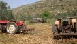 طوباس: الاحتلال يفرض غرامات باهظة لإعادة 4 جرارات زراعية