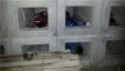 عمال فلسطينيون ينامون في قبور مدينة هرتسيليا شمال إسرائيل