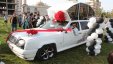 بالصور .. سيارة سندريلا لزفة العرسان في غزة