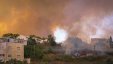 حريق كبير في أحراج نحالين وطائرات اسرائيلية تشارك بإخماده