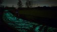 بالفيديو :استديو هولندي يطور طريقا للدراجات ينير في الليل