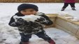 وفاة طفل واصابة 7 اخرين في حريق برام الله