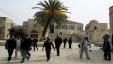 مصر والصين تبحثان انتهاكات الاحتلال في القدس