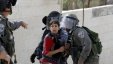 الاحتلال يعتقل طفلا بحوزته سكين فواكه