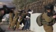 قوات الاحتلال تعتقل (26) مواطنا من الضفة