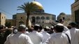 مجموعات من المستوطنين تقتحم المسجد الأقصى