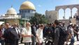 مجموعات يهودية تستأنف اقتحاماتها للمسجد الأقصى