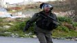 منع الشرطة الإسرائيلية من التحقيق مع الجنود في جرائم جنائية