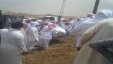 بالصور: عائلة سعودية تستعين برافعة لدفن ابنها ... والسبب