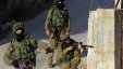 جيش الاحتلال: 20 إسرائيليًا قُتلوا في عام 2017