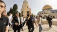 مسؤول إسرائيلي يحذر من انتفاضة ثالثة بسبب بن غفير